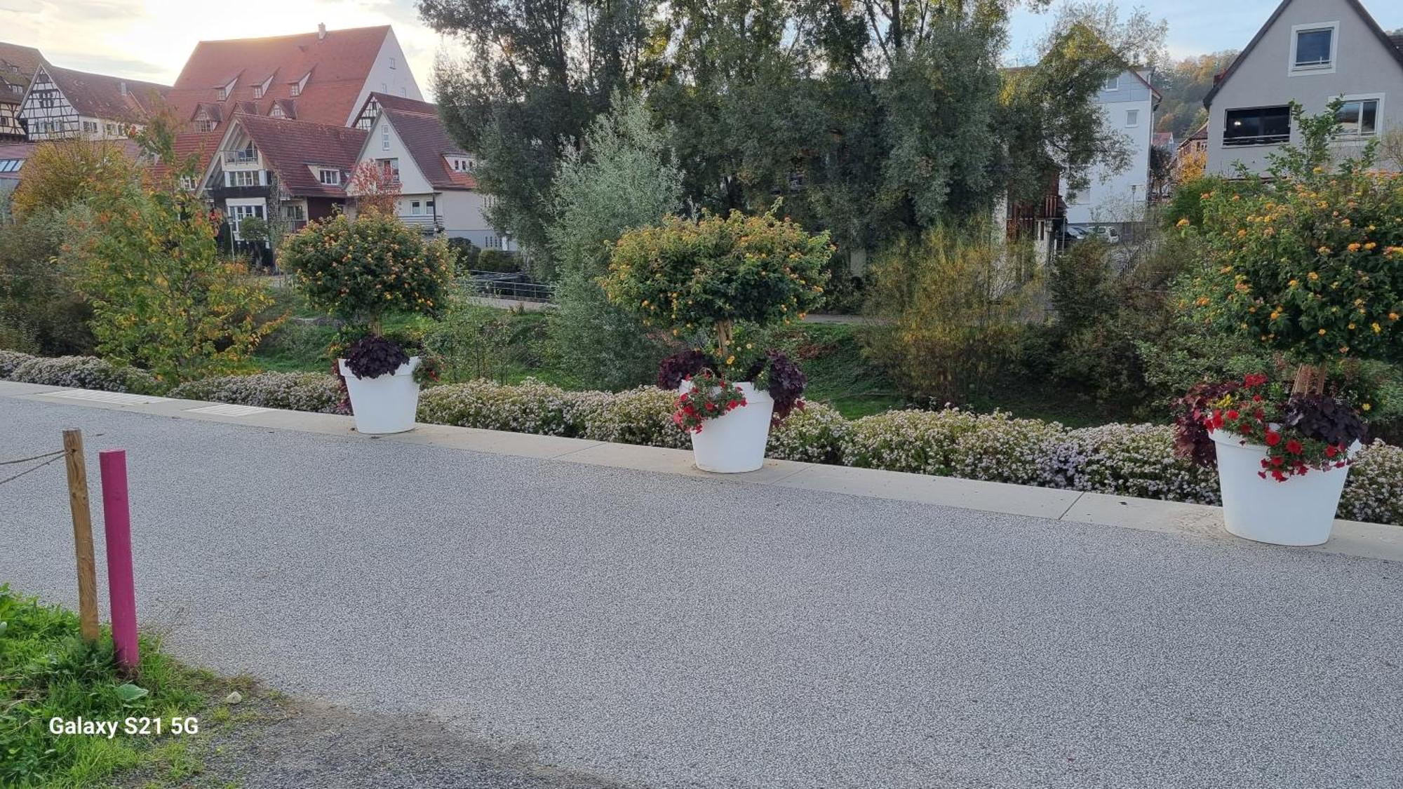 Elefanten * Balingen